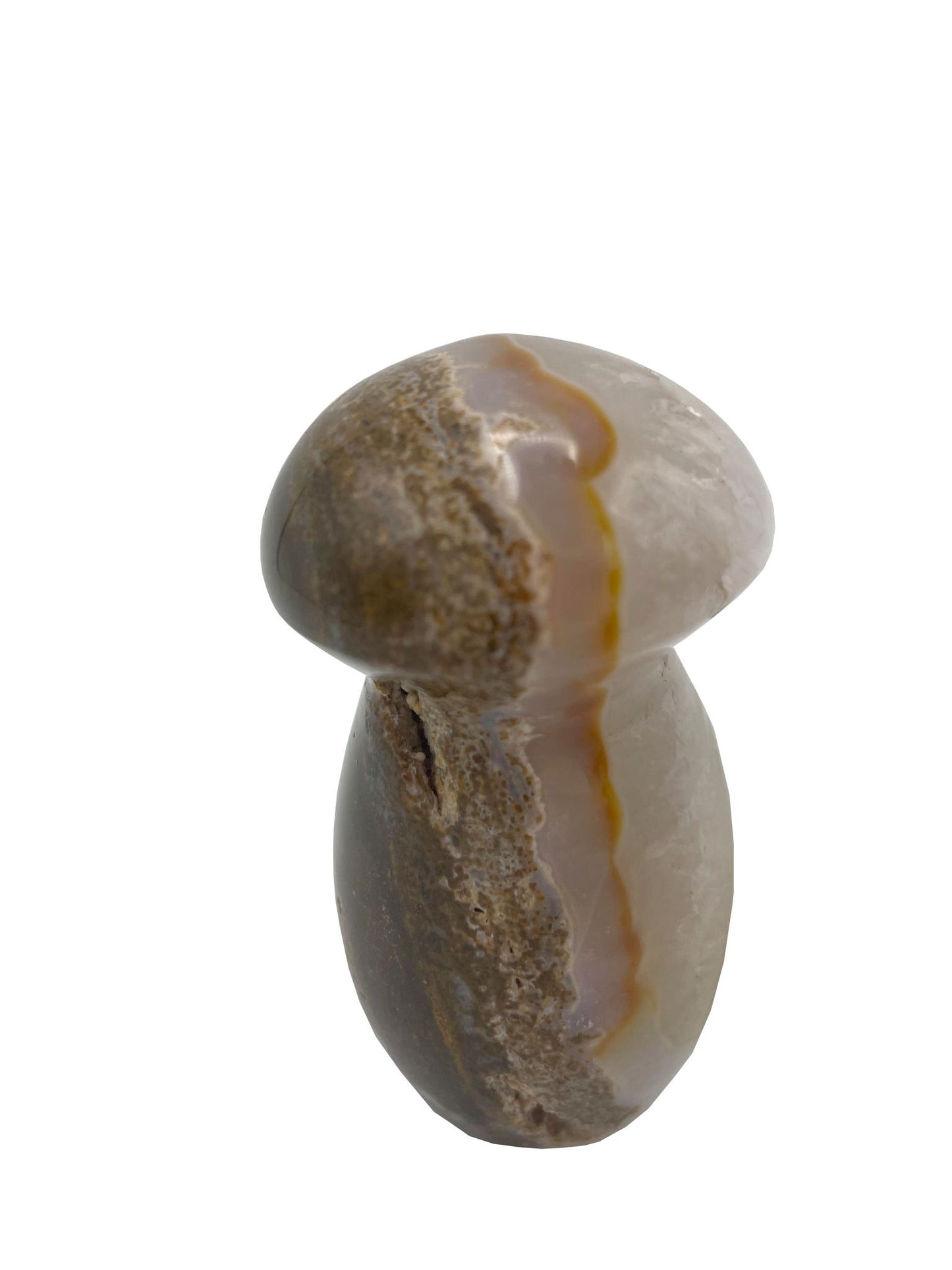 CHAMPIGNON EN JASPE OCÉAN