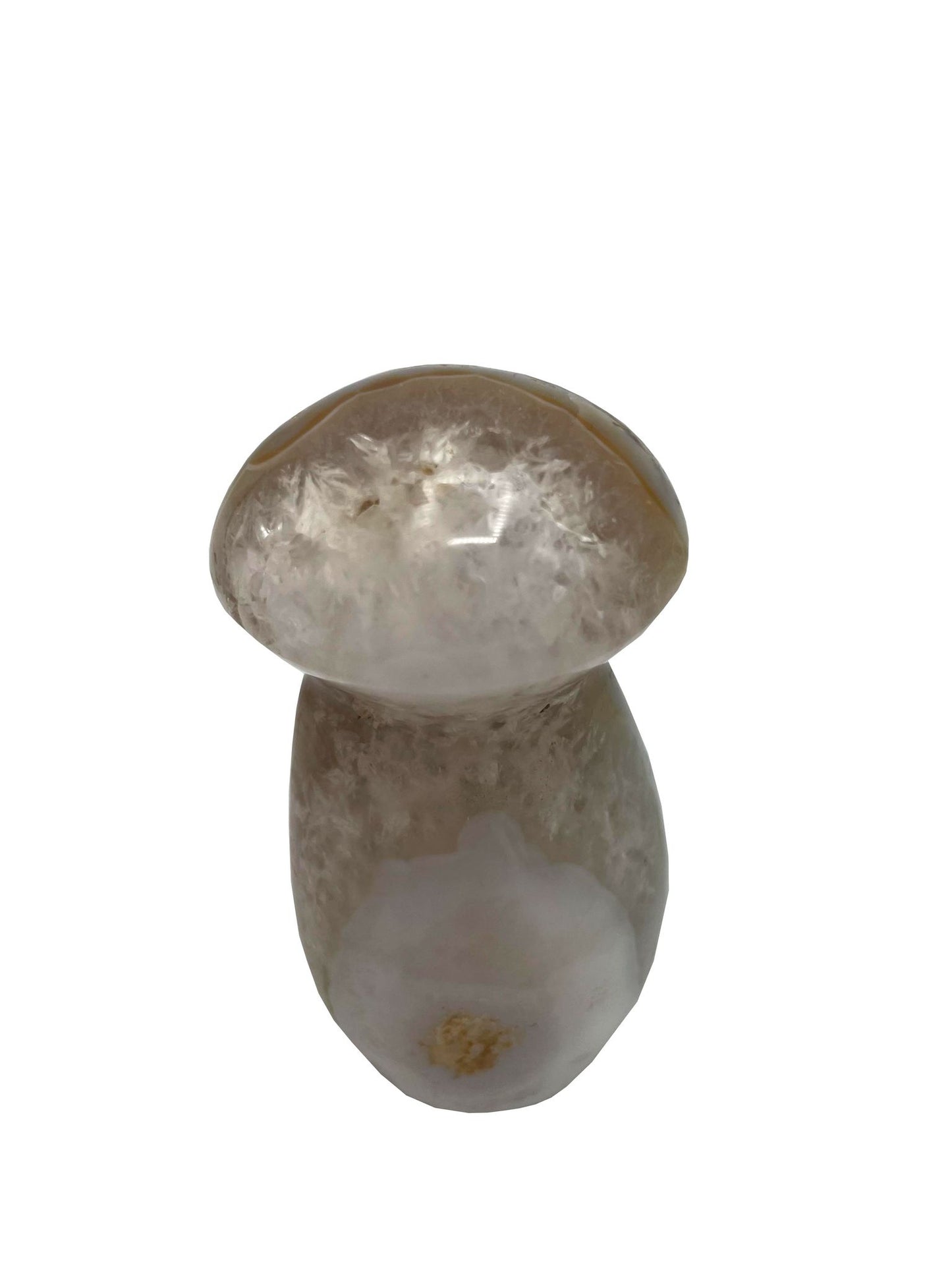 CHAMPIGNON EN JASPE OCÉAN