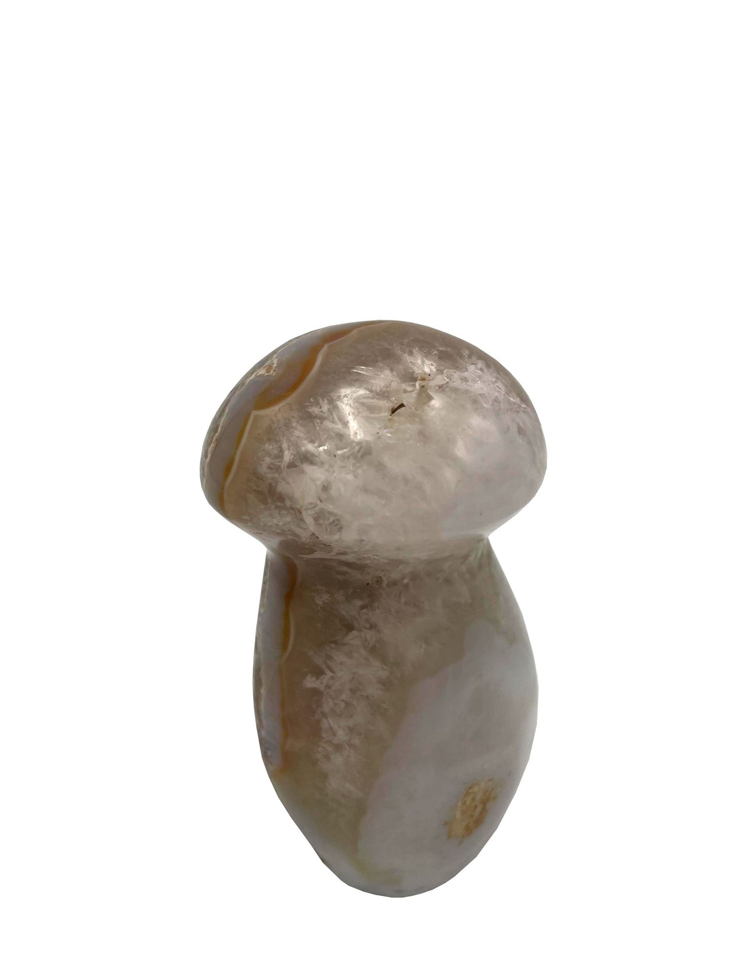 CHAMPIGNON EN JASPE OCÉAN