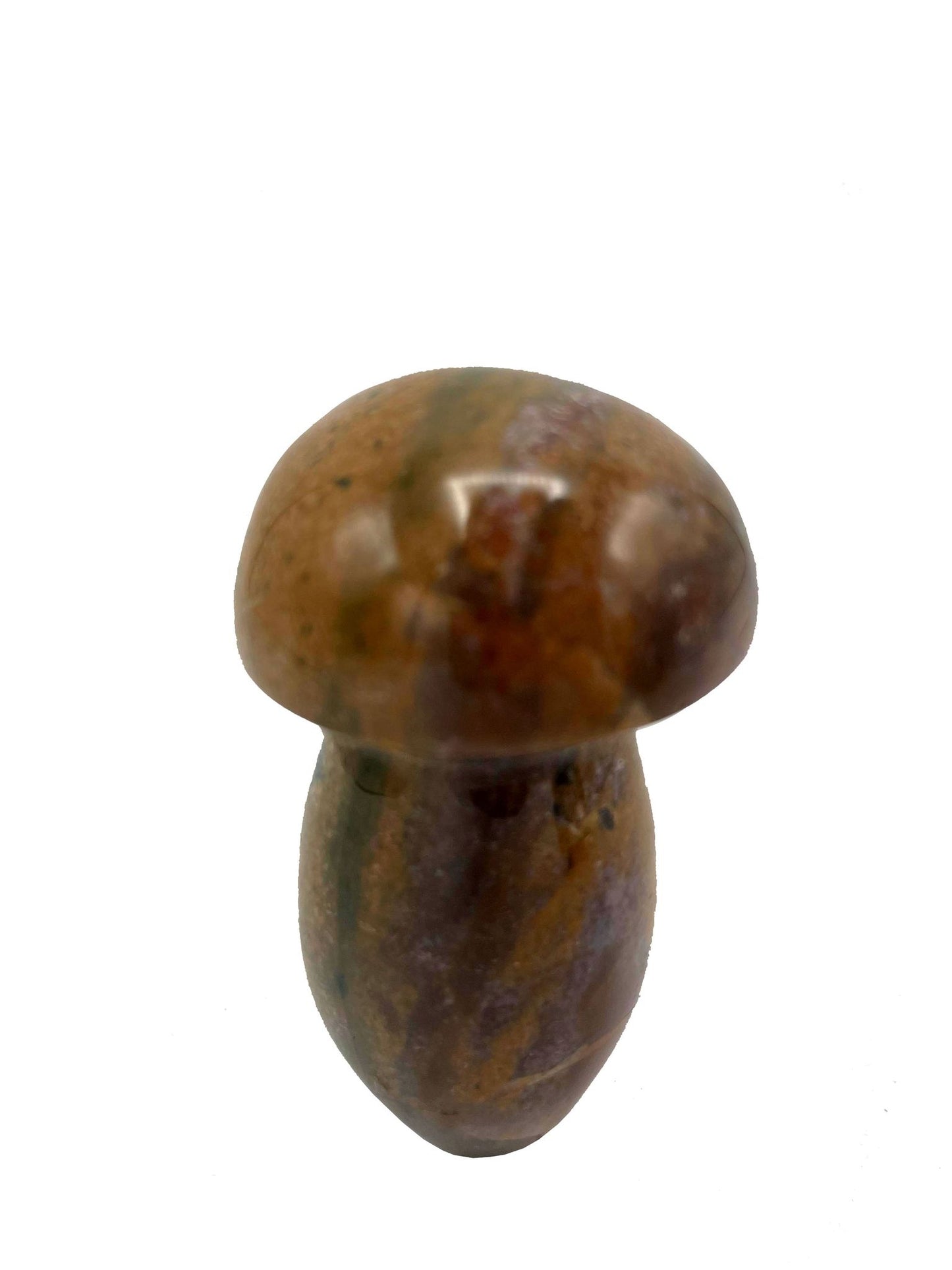CHAMPIGNON EN JASPE OCÉAN