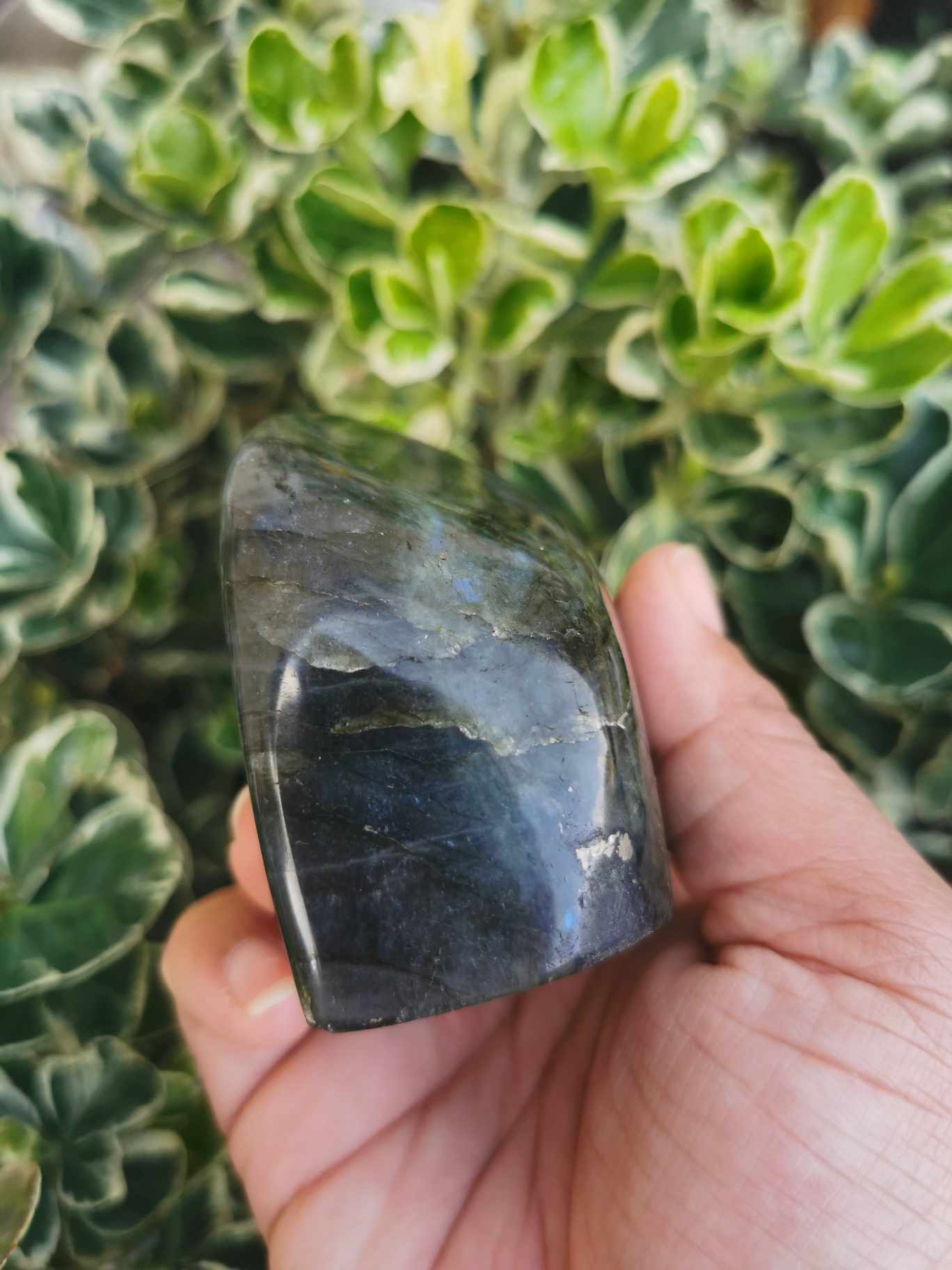 FORME LIBRE EN LABRADORITE- FL02