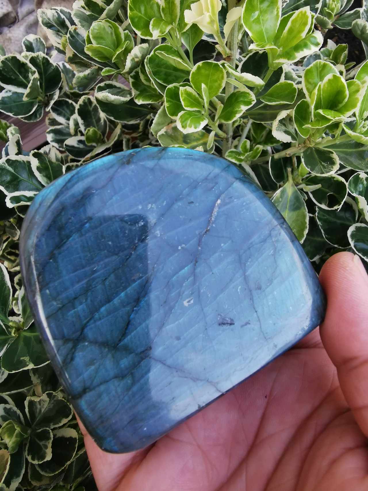 FORME LIBRE EN LABRADORITE- FL02