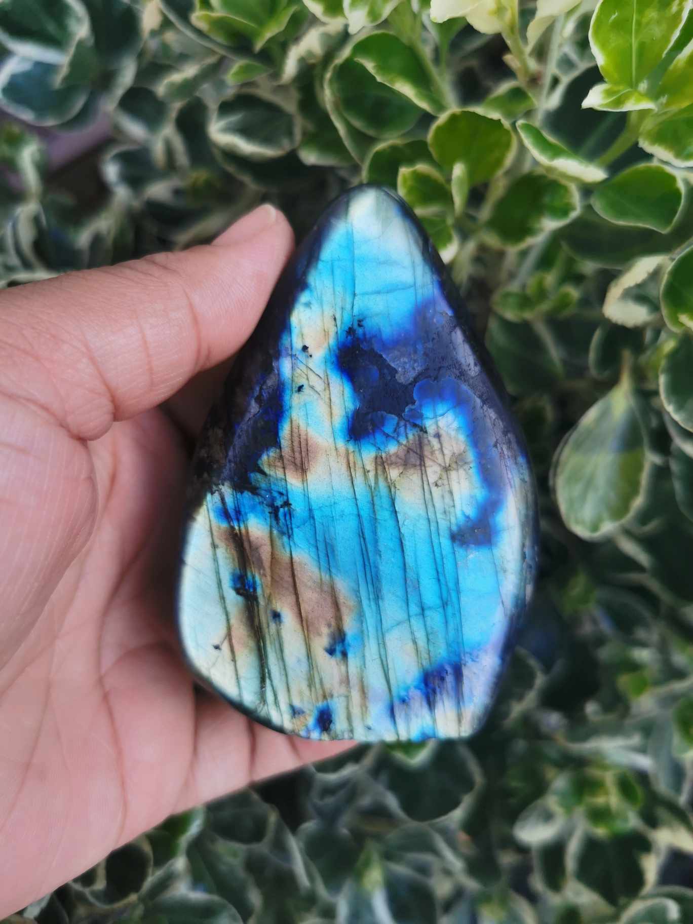 FORME LIBRE EN LABRADORITE- FL01