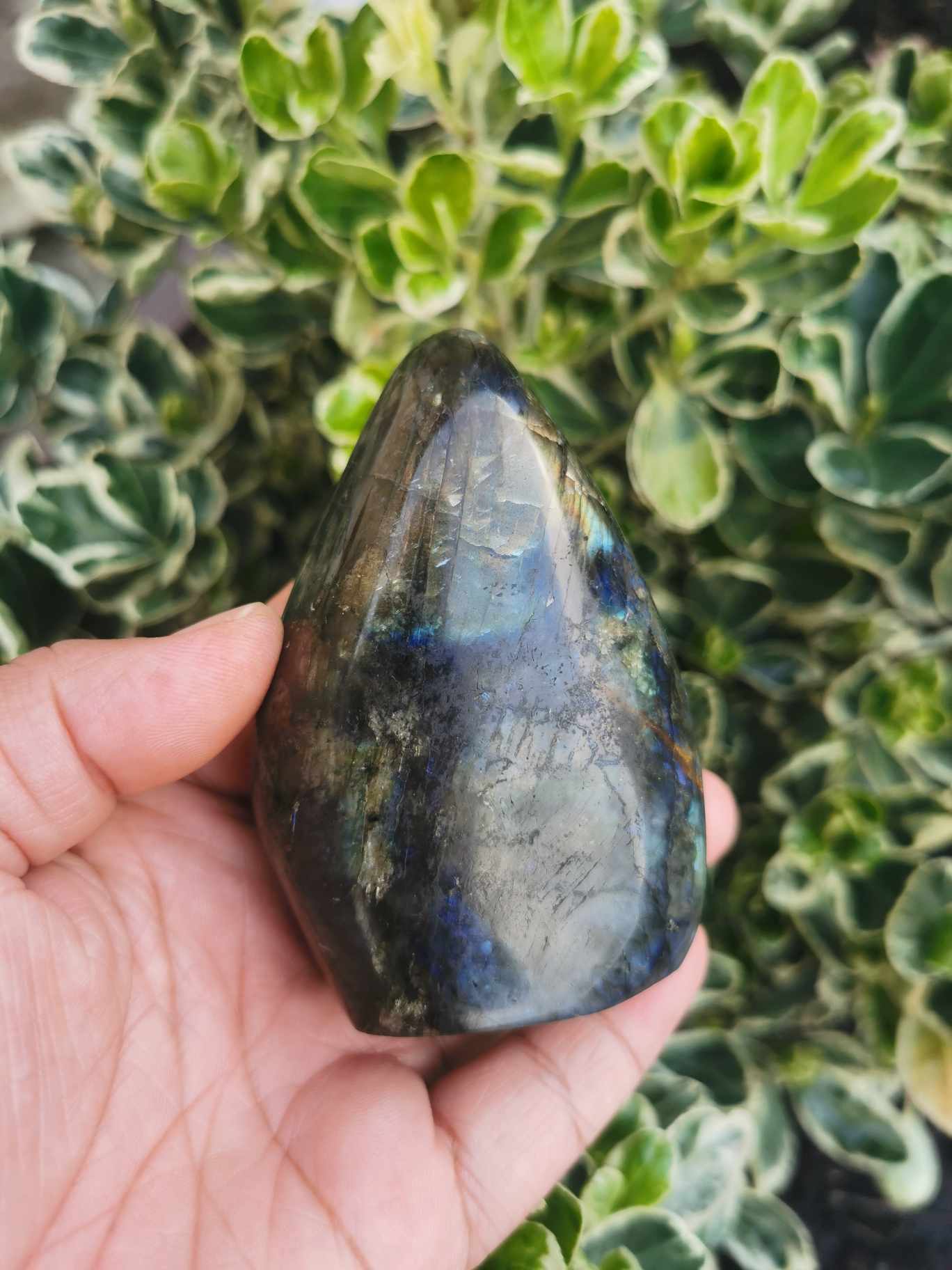 FORME LIBRE EN LABRADORITE- FL01