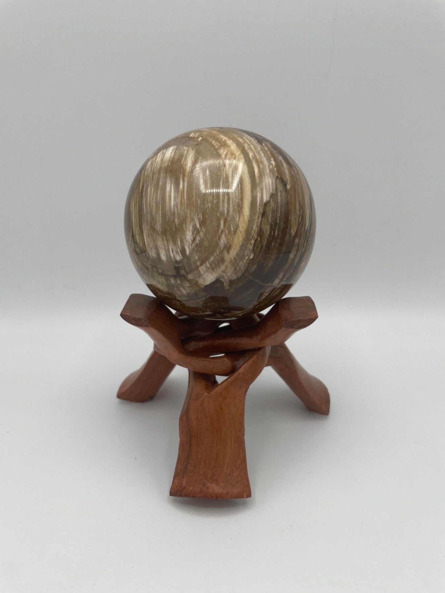 Sphère en BOIS FOSSILISÉ
