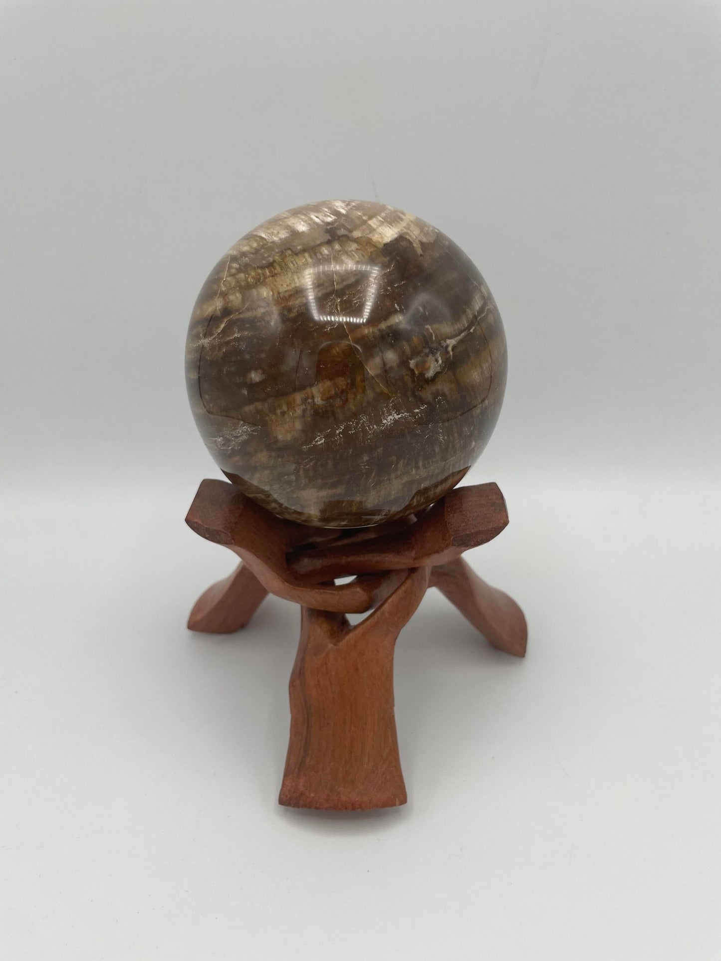 Sphère en BOIS FOSSILISÉ
