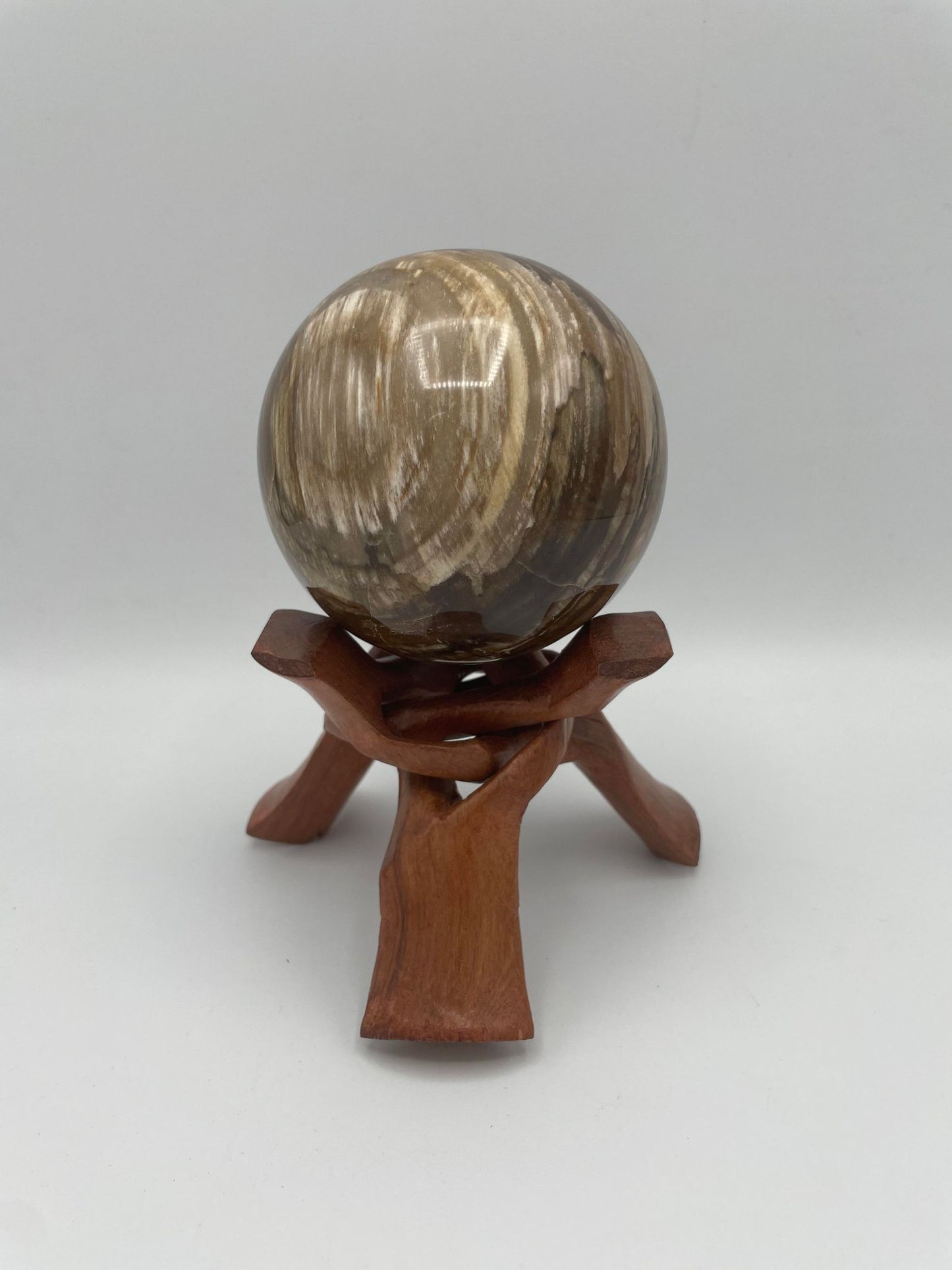 Sphère en BOIS FOSSILISÉ